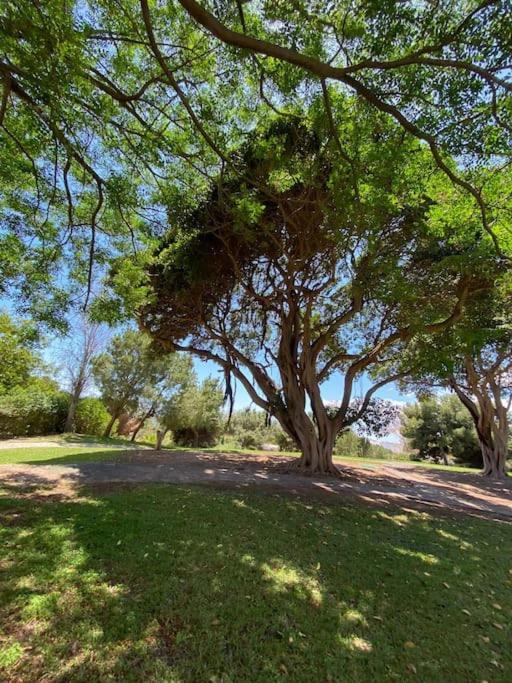Apt Moderno Con Vistas, Recepcion 24 Hs Y Piscinas เบนัลมาเดนา ภายนอก รูปภาพ